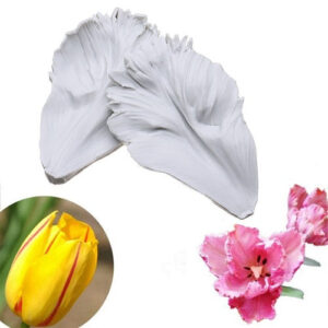 Tulip Petal Silicone Fondant Mold 2Pcs Set
