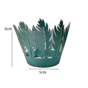 Paper Lace 10Pcs Set